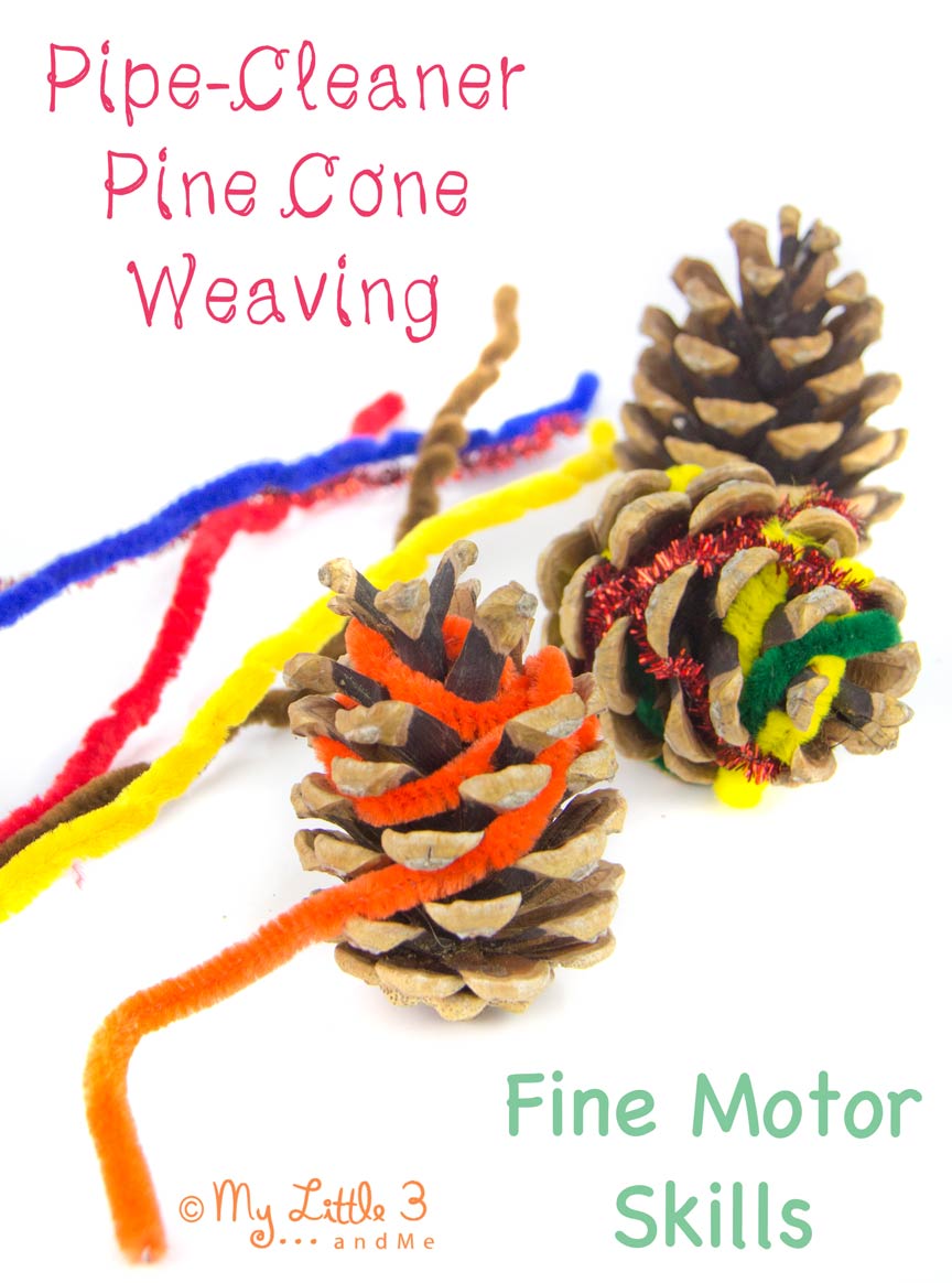 Pine-Cones-and-Pipe-Cleaners-Fine-Motor-Skill-Development-from-My-Little-3-and-Me_edited-1